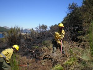 OLYMPUS DIGITAL CAMERA Foto de archhivo