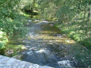 103796-montemayor-del-rio-rio-cuerpo-de-hombre--montemayor