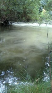 Foto archivo: Estado del Río Cuerpo de Hombre el sábado 29 de septiembre de 2012. 