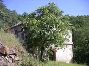 9ba2a5c8-a4bc-4a0a-b3ed-720dcc871401