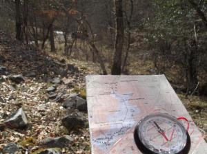 2012_3_22_4qTnelBM8eqhyFcyLrA545