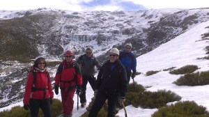 Participantes del curso