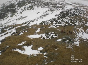 Imagen durante el rescate