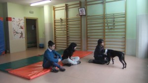 Voluntarias de Gaia durante una de las sesiones en el Neveros