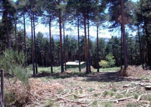 Construcción en Arrebatacapas (Candelario