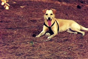 1º Premio del concurso fotográfico
