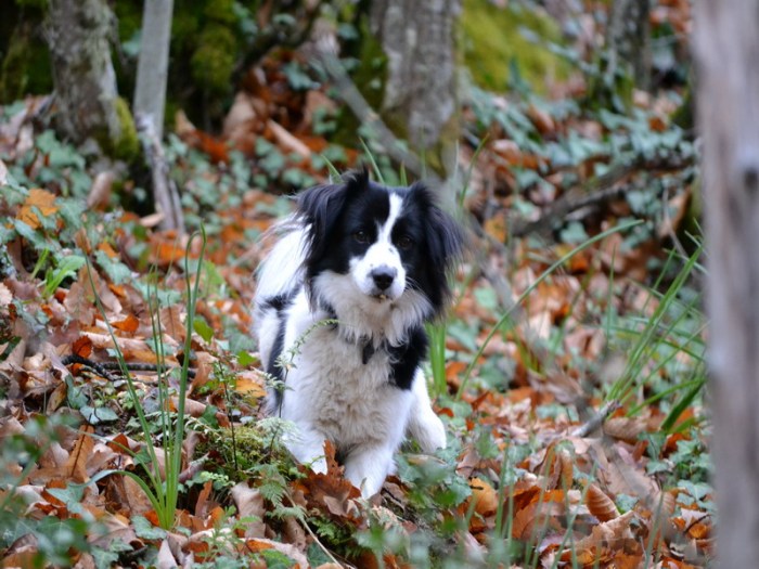 2º premio concurso fotográfico