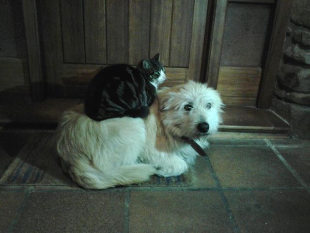 3º premio concurso fotográfico