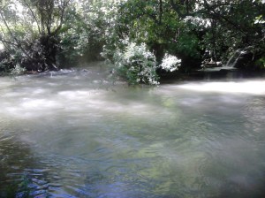 Río teñido de blanco