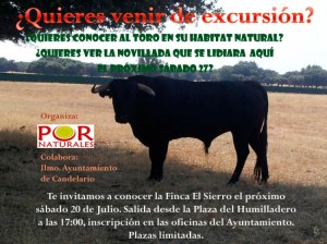 Cartel anunciador de la actividad