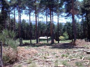 Una de las construcciones realizadas en una zona protegida.