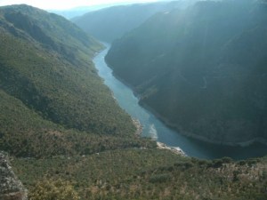 El río Duero desde uno de los miradores de Mieza