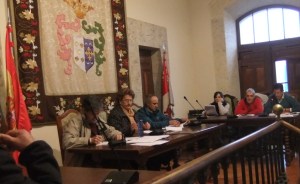 Durante el pleno ordinario del 19 de diciembre de 2013