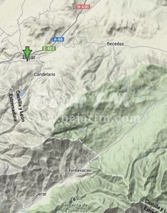 Vista zona de la subasta