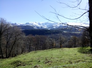 Vista de la sierra de Candelario 