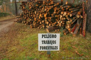 Una de las imágenes del trabajo presentado