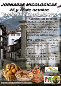 Cartel Jornadas Micológicas