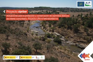 cipriber-home-1024x682