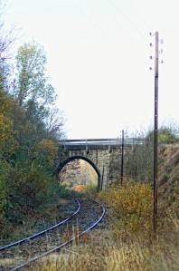 10599719_1491239207824297_8972564662205384755_n