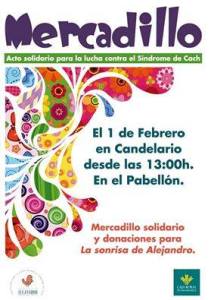 Cartel actividad