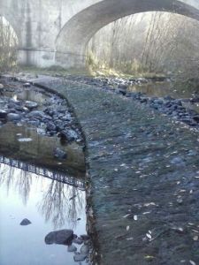 el-ro-cuerpo-de-hombre-la-desidia-y-el-abandono-la-cara-y-la-cruz-de-nuestro-entorno-natural-5