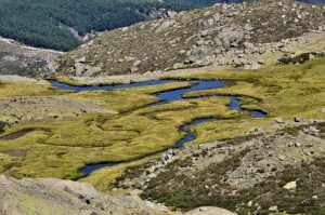 Imagen presentada por Rebeca García al concurso