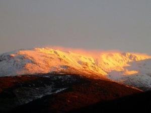 Cara_positivo1.img_assist_custom-603x452