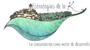 cropped-estrategiasblog