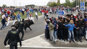 Animalistas en el momento de la suelta del toro.
