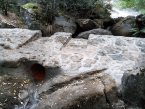 Expolio y ruina de nuestro entorno natural2