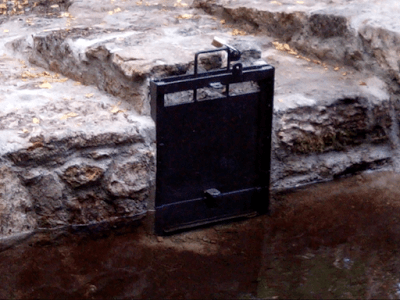 Expolio y ruina de nuestro entorno natural3