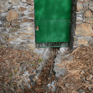 Expolio y ruina de nuestro entorno natural4