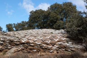 ibarrolaengaroza_los-pajaros1