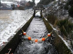 12736901_1091570724194517_595569471_o