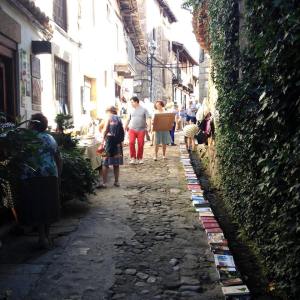 13882318_1220442941309780_519960194689788705_n