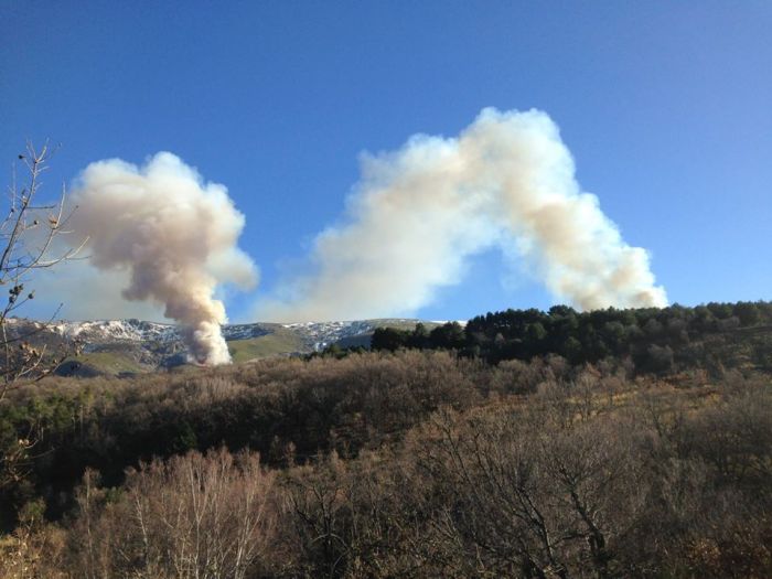 16295263_1378931728791747_561504653_n-1