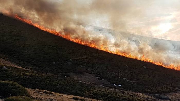 16299492_1529389030424219_2466146414083432300_n