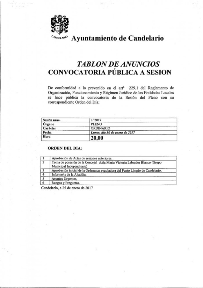 pleno-30-de-enero-728x1030