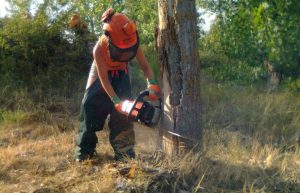 LAS-MUJERES-RURALES-FADEMUR