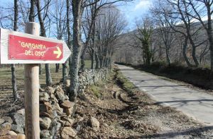 unica-señal-garganta-del-oso