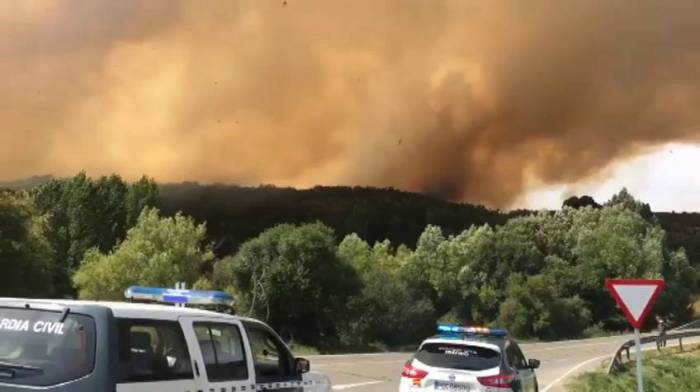 1502132177_461546_87386700_fotograma_6