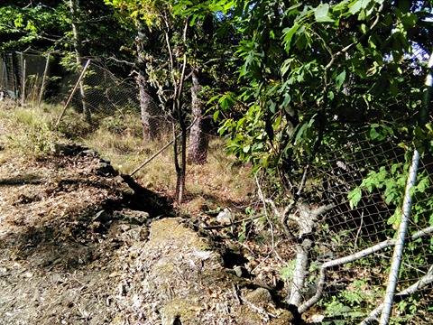 22386282_1635996556418595_1237148510_n