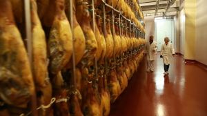 redondo_iglesias_01._CB1506585550_