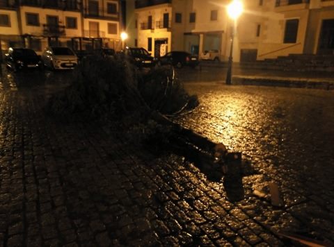 25188360_1697658240252426_1798545541_n