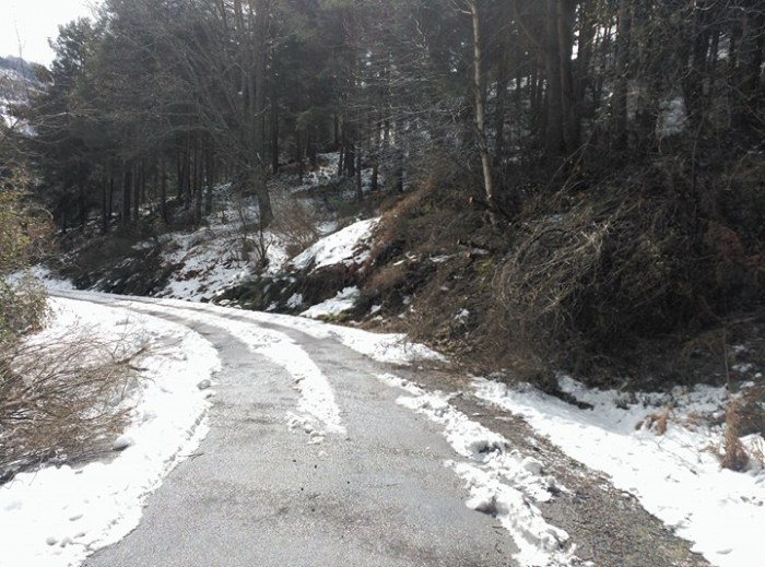 29341517_1805658622785720_1162739156_n