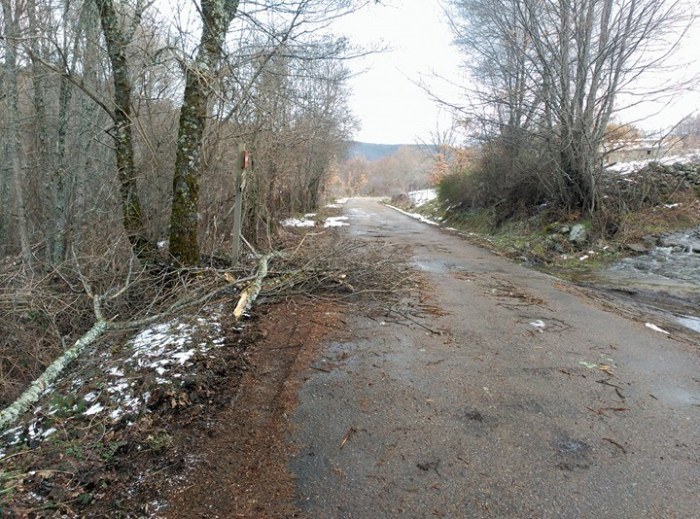 29550615_1805658646119051_127372856_n