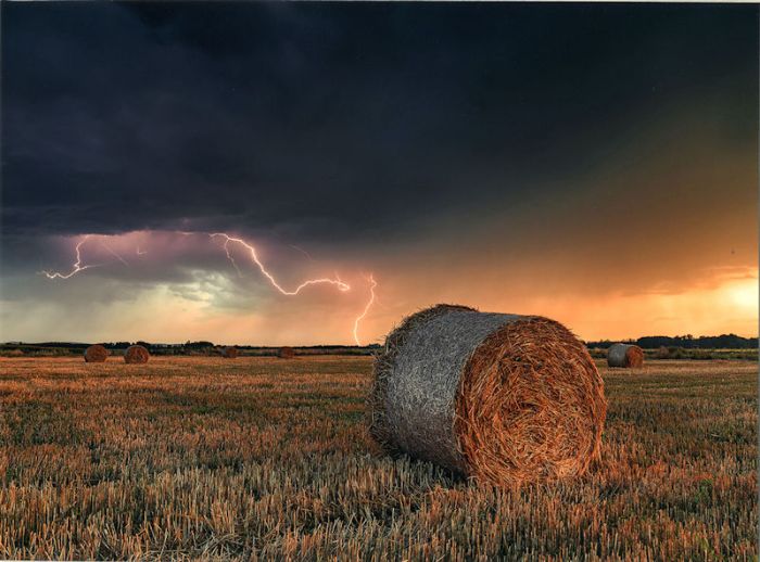3erPremioTormentaenelCampo