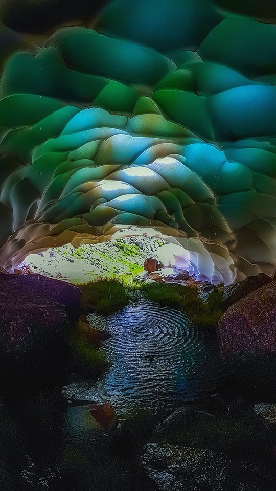 38756599_2294200330607794_8585281510330859520_n