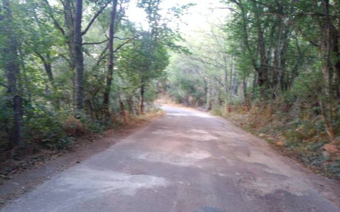 40042237_694882040869191_8509028179921338368_n