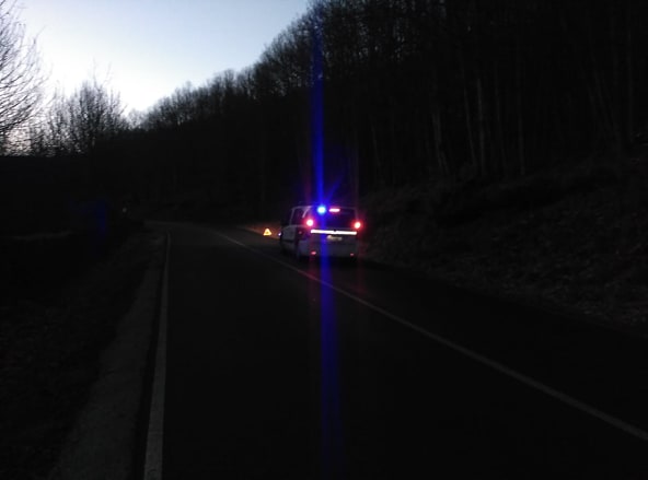 52638748_2520250921380927_460713410900787200_n